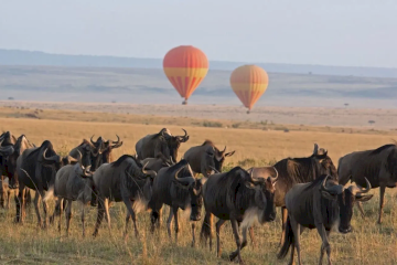 3-Day Serengeti & Ngorongoro Safari