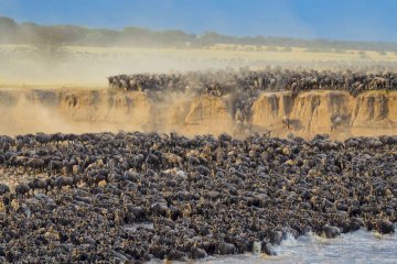 12-Day Tanzania Safari – Serengeti, Ngorongoro, Tarangire, Lake Manyara, Ruaha, Selous & Zanzibar